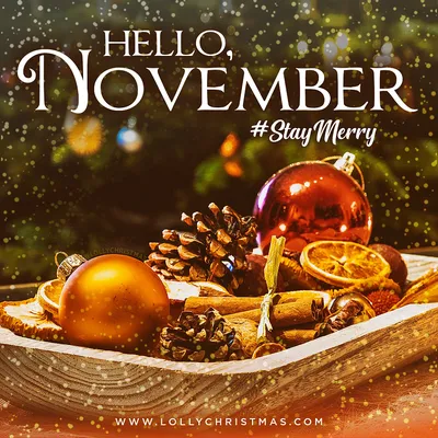 Hello November November png download - 2971*3000 - Free Transparent Hello  November png Download. - CleanPNG / KissPNG