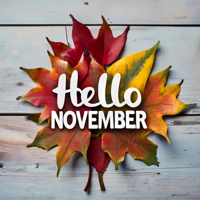 Handwritten lettering hello november Royalty Free Vector