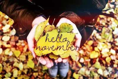 Hello November,Others PNG Clipart - Royalty Free SVG / PNG