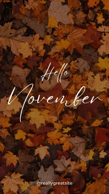 Hello November! - ELSiEiSY blog