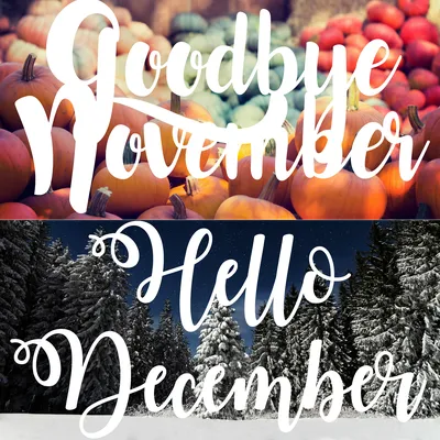 Hello November hand drawn lettering phrase 27989974 PNG