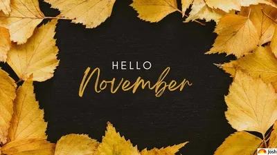 Goodbye October, Hello November | The Life of Kristyn