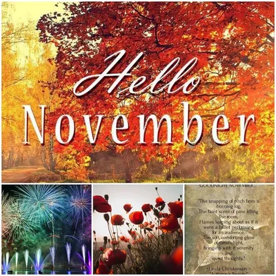 Free and customizable november templates