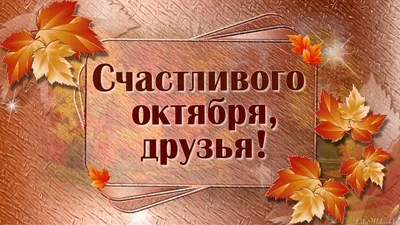 Привет, ОКТЯБРЬ🍂 Сегодня 5 октября и вся страна поздравляет УЧИТЕЛЕЙ с  праздником! Традиционно.. | ВКонтакте