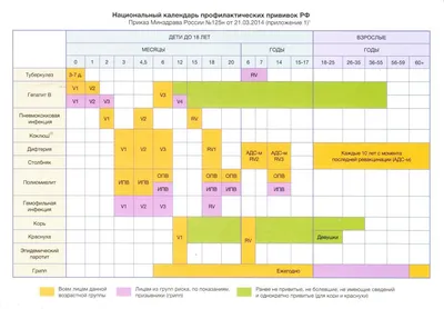 Доступны новые вакцины от Covid-19; оплаченные государством прививки от  гриппа – с октября / Статья