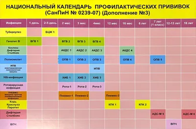 Вакцинация и путешествия - Клиника «9 месяцев»