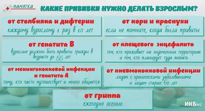 Щенки после первой и второй прививок - когда можно гулять, мыть, сколько  длится карантин