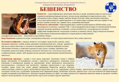 Бешенство у собак - Ветеринарный центр Природа
