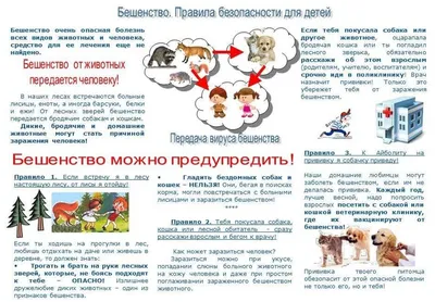 Бешенство у собак, вакцинация от бешенства