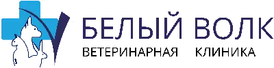 Подкожный клещ у собак: причины, симптомы, лечение, профилактика демодекоза  у собак
