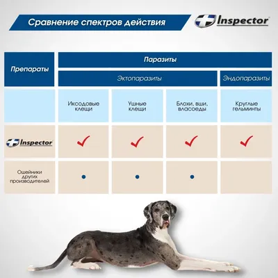 Advocate (Адвокат) by Bayer Animal - Противопаразитарные капли для собак от  блох, вшей, клещей, гельминтов (1 пипетка) - Купить онлайн, цена и отзывы  на E-ZOO