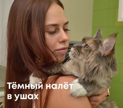 Барс Капли Ушные для Собак и Кошек - Купить с Доставкой по Москве