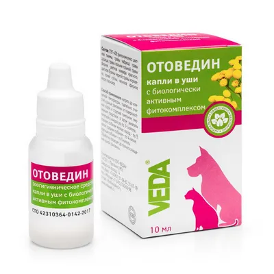 Ушной клещ у собак (отодектоз): симптомы, лечение и профилактика -  Зоомагазин MasterZoo