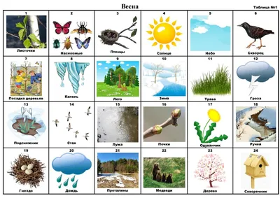 Приметы весны для дошкольников в картинках и рисунках
