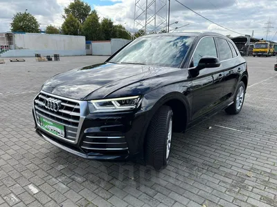 OMODA: в Калининграде стартовали продажи нового китайского автобренда |  Новости партнеров на РБК+ Калининград