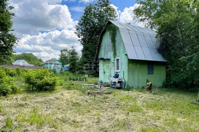 Домклик — поиск, проверка и безопасная сделка с недвижимостью в Ярославле