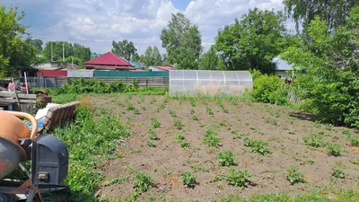 Продам дом на улице 1-я Цветочная 2 в городе Кемерово Кемеровский городской  округ 40.0 м² на участке 4.0 сот этажей 1 2060000 руб база Олан ру  объявление 111630153