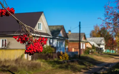 Купить дом в поселке Плодовом в Ульяновске в Ульяновской области — 32  объявления о продаже загородных домов на МирКвартир с ценами и фото