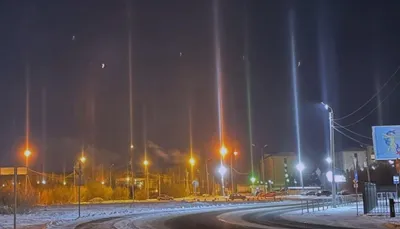 Продам щенков йоркширского терьера купить г. Хабаровск №81689 - птичий  рынок ЭКЗОТИКА