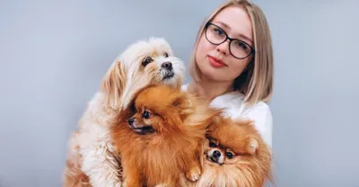 Купить готовую баню в Хабаровске под ключ. Экологичные готовые бани г.  Хабаровск, выгодная цена, баня с душевой кабиной.