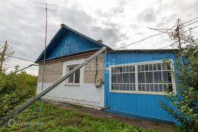 Продажа щенков породы Немецкий Дратхаар – купить с рук, город Москва