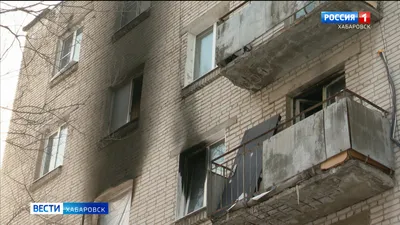 Купить электроошейник в Хабаровске ✓ Большой выбор электронных ошейников  для собак