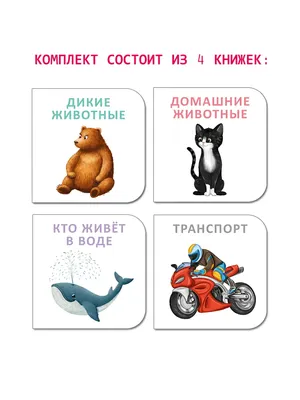 Супербуквы. Русский алфавит - купить с доставкой по Москве и РФ по низкой  цене | Официальный сайт издательства Робинс