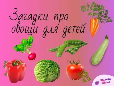 Мои первые слова. 12 развивающих карточек с картинками фиолетового цвета,  стихами, загадка - купить дошкольного обучения в интернет-магазинах, цены  на Мегамаркет | Н-266