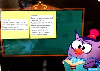 100 загадок про овощи для детей и взрослых с ответами