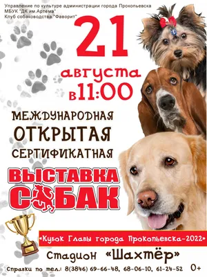 Профессиональный хендлер Гродно. Выставки собак в Гродно, цена 25 р.. -  Объявление №202645934