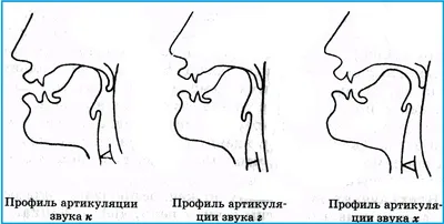 Фонетика и фонология русского языка | Педагогический факультет Университета  им. Масарика