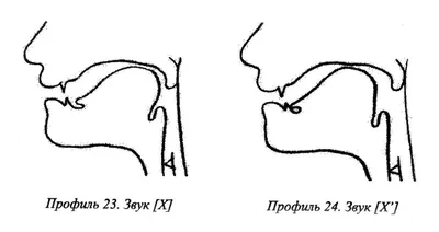 Артикуляционные профили звуков с подборкой картинок на заданный звук (3  фото). Воспитателям детских садов, школьным учителям и педагогам - Маам.ру