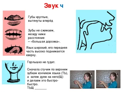 Артикуляция звуков в графическом изображении (логопедические  артикуляционные профили), Гном - купить в интернет-магазине Игросити