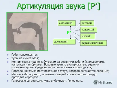 Книга В помощь начинающему логопеду. Автоматизация и дифференциация  свистящих звуков [с], [сь], [з], [зь], [ц]. 4-7 лет. ФГОС. • Кондратьева  С.Ю. - купить по цене 299 руб. в интернет-магазине Inet-kniga.ru | ISBN