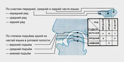 Логопедическая работа по формированию фонематической системы гласных звуков  у детей с открытой ринолалией – тема научной статьи по искусствоведению  читайте бесплатно текст научно-исследовательской работы в электронной  библиотеке КиберЛенинка