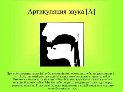 Книга В помощь начинающему логопеду. Автоматизация и дифференциация  свистящих звуков [с], [сь], [з], [зь], [ц]. 4-7 лет. ФГОС. • Кондратьева  С.Ю. - купить по цене 299 руб. в интернет-магазине Inet-kniga.ru | ISBN