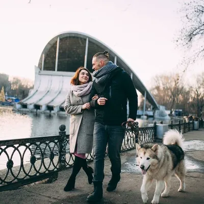 БЕЗОПАСНЫЕ ПРОГУЛКИ СО СВЕТООТРАЖАЮЩЕЙ ШЛЕЙКОЙ В ТЁМНОЕ ВРЕМЯ СУТОК - LOVE  FERPLAST