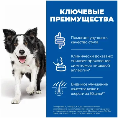 Аллергия у кошек и собак