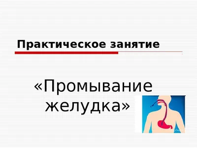 СЁМА Манекен-тренажёр для отработки навыков промывания желудка ООО  Медтехника Спб