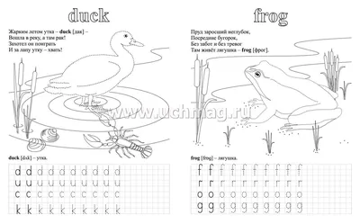 Прописи с картинками для детей. Веселые ребусы со словарными словами -  купить книгу по низким ценам с доставкой | Интернет-магазин «Белый кролик»
