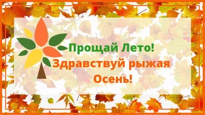 Видишь цветы? — Да, сэр. — «Прощай-лето», Дуг. Такое у них название. Чуешь,  какой воздух? Август.. | ВКонтакте