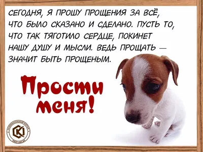 Сегодня я прошу прощения за все, что было сказано и сделано… | Прощение,  Открытки, Поздравительные открытки