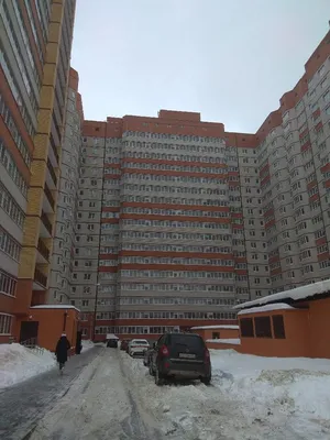 В Воронеже поликлиника на Московском проспекте примет за раз 1100 человек |  ОБЩЕСТВО: События | ОБЩЕСТВО | АиФ Воронеж