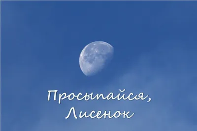 Ночник \"Засыпай с мечтой, просыпайся с целью\" (ID#194737962), цена: 75  руб., купить на Deal.by