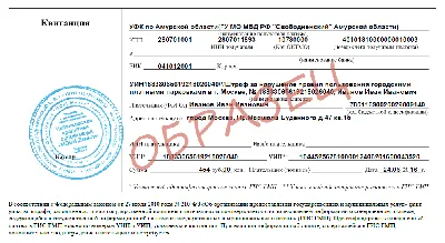 МАДИ: штрафы | Что такое штрафы МАДИ в 2024 году | Мои Штрафы