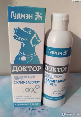 Кожные болезни собак