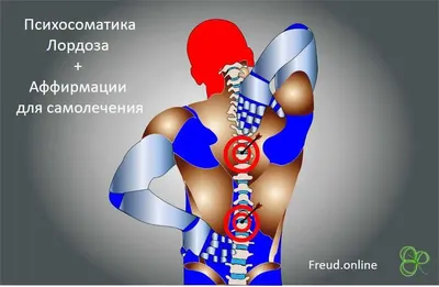 Трансформационная психологическая игра \"Психосоматика\" - купить с доставкой  по выгодным ценам в интернет-магазине OZON (471929830)