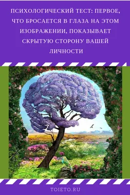 Психотест: истории из жизни, советы, новости, юмор и картинки — Все посты |  Пикабу