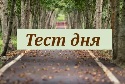 Психологический тест №7 в картинках «Ваше психологическое состояние» |  «Санталь Геленджик»