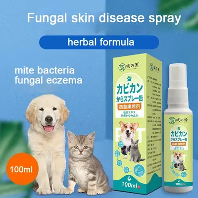 Аллергия у собак: симптомы и лечение | Petshop.ru